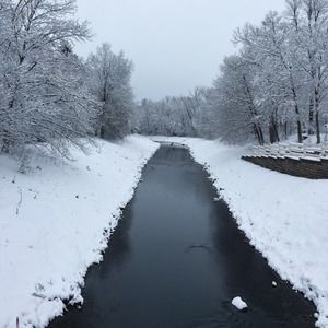 Meet your Posher, Max